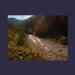 2012-10-20_Fall_AQUILA (136).JPG